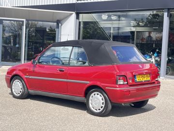 Rover 100